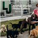 2021_Animal Shelter  Photo Gallery _ Dogs