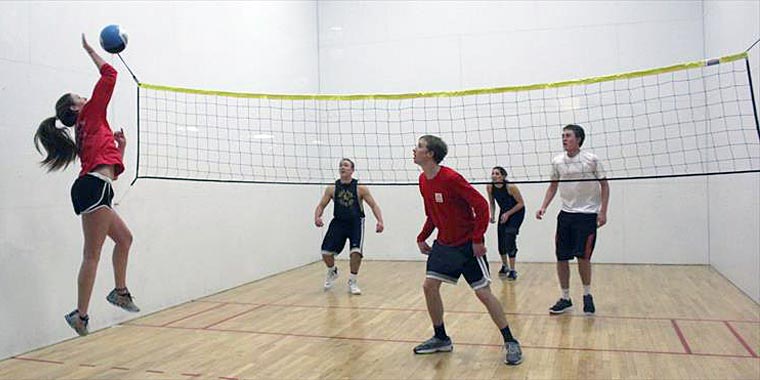 wallyball-lg.jpg