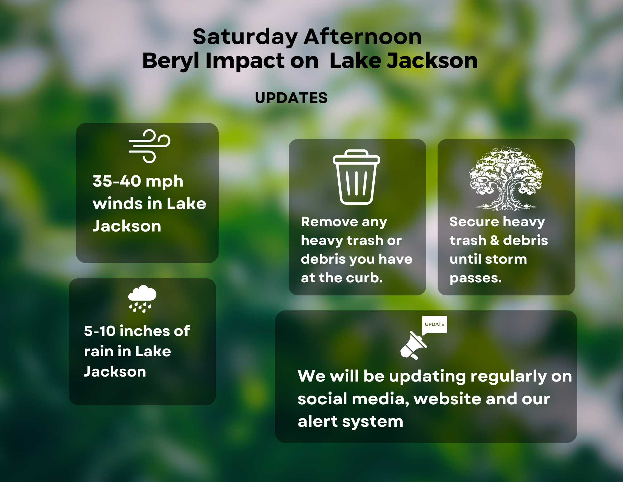 Beryl_July 2024_Saturday afternoon