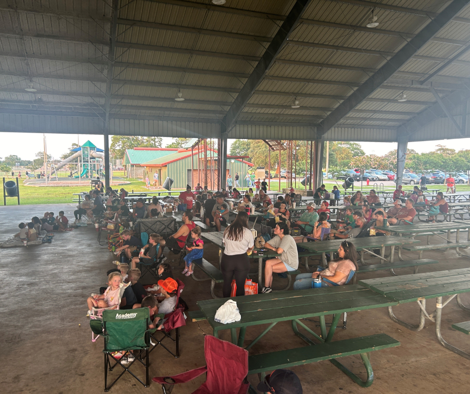 Movies in the Park Website