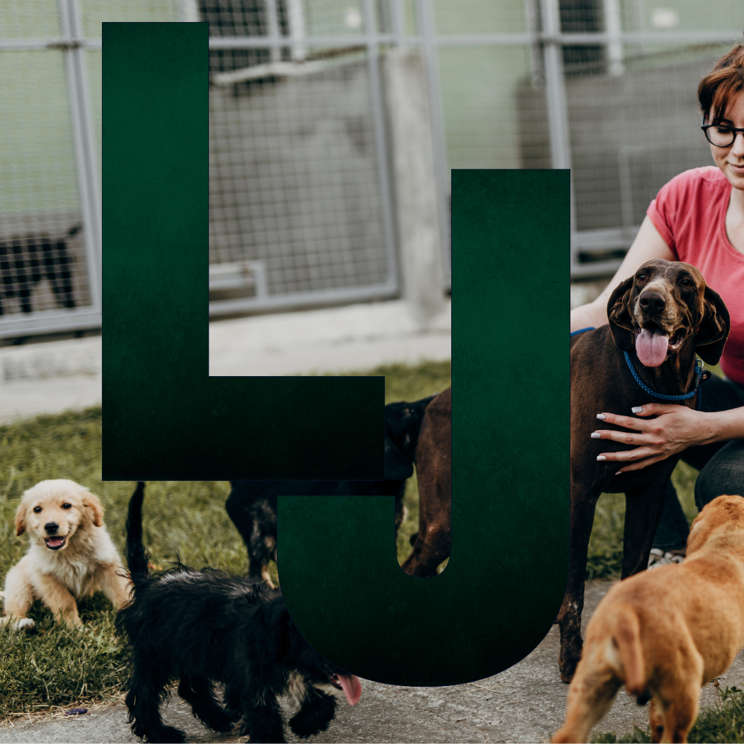 2021_Animal Facility Page