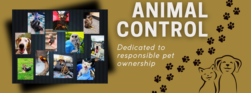 Animal Control 